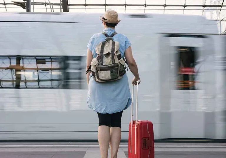 Professional tour guides and drivers providing excellent service